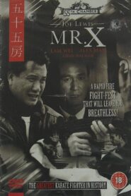 Mr. X 1995 on netflix