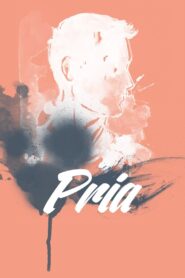 Pria 2017 on netflix