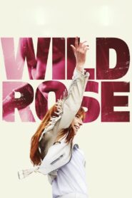 Wild Rose 2019 on netflix