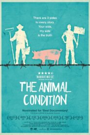 The Animal Condition 2014 on netflix