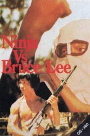 Ninja vs. Bruce Lee 1982 on netflix