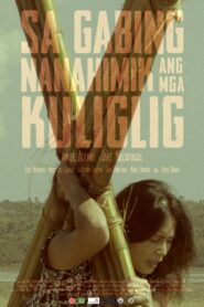 Sa Gabing Nanahimik Ang Mga Kuliglig 2017 on netflix