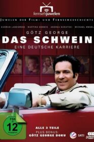 Das Schwein – Eine deutsche Karriere 1995 on netflix