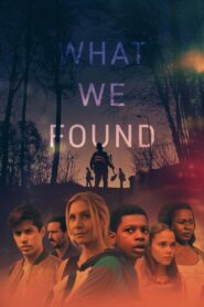 What We Found 2020 on netflix
