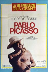 Pablo Picasso Painter 1982 on netflix
