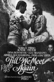 Till We Meet Again 1985 on netflix
