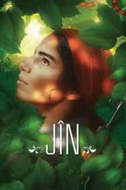 Jîn 2013 on netflix