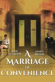 A Marriage of Convenience 1998 on netflix