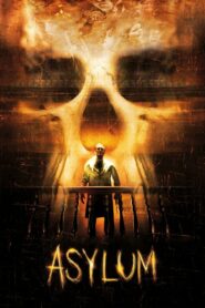 Asylum 2008 on netflix