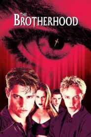 The Brotherhood 2001 on netflix