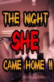 The Night She Came Home!! 2013 on netflix