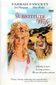 The Substitute Wife 1994 on netflix