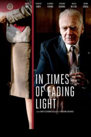 In Times of Fading Light 2017 on netflix
