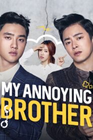 My Annoying Brother 2016 on netflix