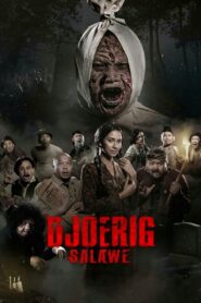Djoerig Salawe 2020 on netflix
