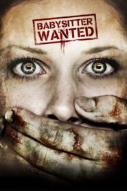 Babysitter Wanted 2007 on netflix