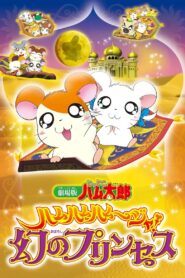 Hamtaro: The Captive Princess 2002 on netflix