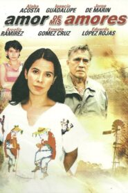 Amor de mis amores 1999 on netflix