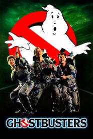 Ghostbusters 1984 on netflix