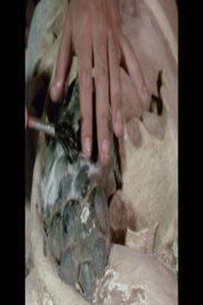 Dos Reis Magos dos Tupiniquins 1985 on netflix