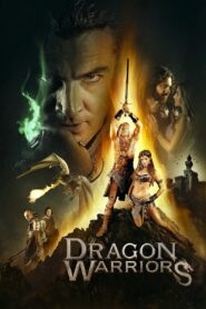 Dudes & Dragons 2015 on netflix