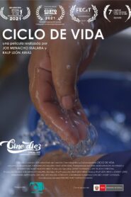 Ciclo de Vida 2020 on netflix
