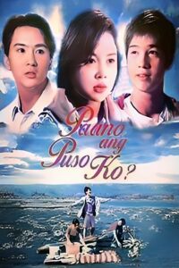 Paano Ang Puso Ko 1997 on netflix