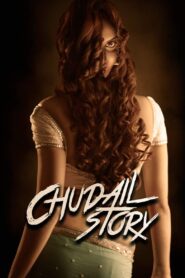 Chudail Story 2016 on netflix