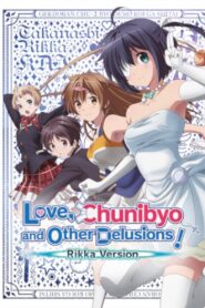 Love, Chunibyo & Other Delusions! Rikka Version 2013 on netflix