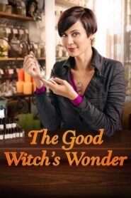 The Good Witch’s Wonder 2014 on netflix