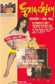 A Migrant Bird in a Nest 1988 on netflix