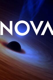 Decoding COVID-19 2020 on netflix