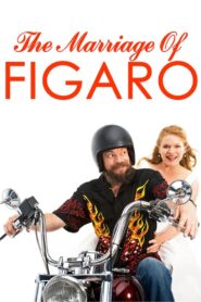 The Marriage of Figaro 2009 on netflix