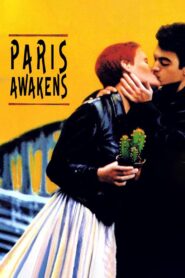 Paris Awakens 1991 on netflix