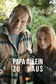Papa allein zu Haus 2011 on netflix