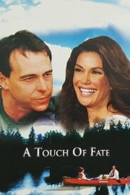 A Touch of Fate 2003 on netflix