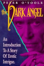 The Dark Angel 1987 on netflix