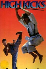 High Kicks 1993 on netflix