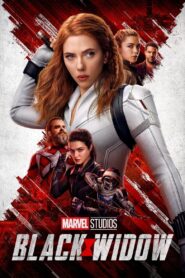 Black Widow 2021 on netflix