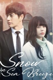 Snow In Sea Breeze 2015 on netflix