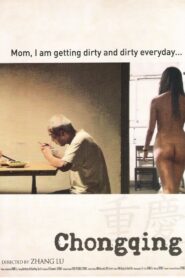 Chongqing 2008 on netflix
