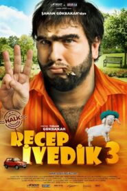 Recep Ivedik 3 2010 on netflix