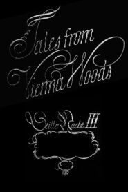 Stille Nacht III: Tales from Vienna Woods 1993 on netflix