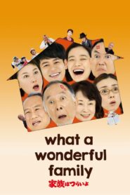 What a Wonderful Family! 2016 on netflix