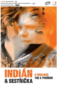 The Indian and the Nurse 2006 on netflix
