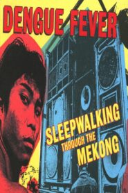 Sleepwalking Through The Mekong 2007 on netflix