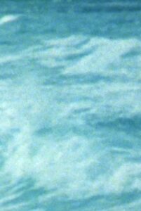 Wave 1984 on netflix