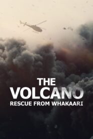 The Volcano: Rescue from Whakaari 2022 on netflix