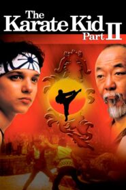The Karate Kid Part II 1986 on netflix