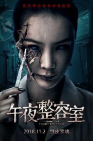 Painted Skin: The Double Mask 2018 on netflix